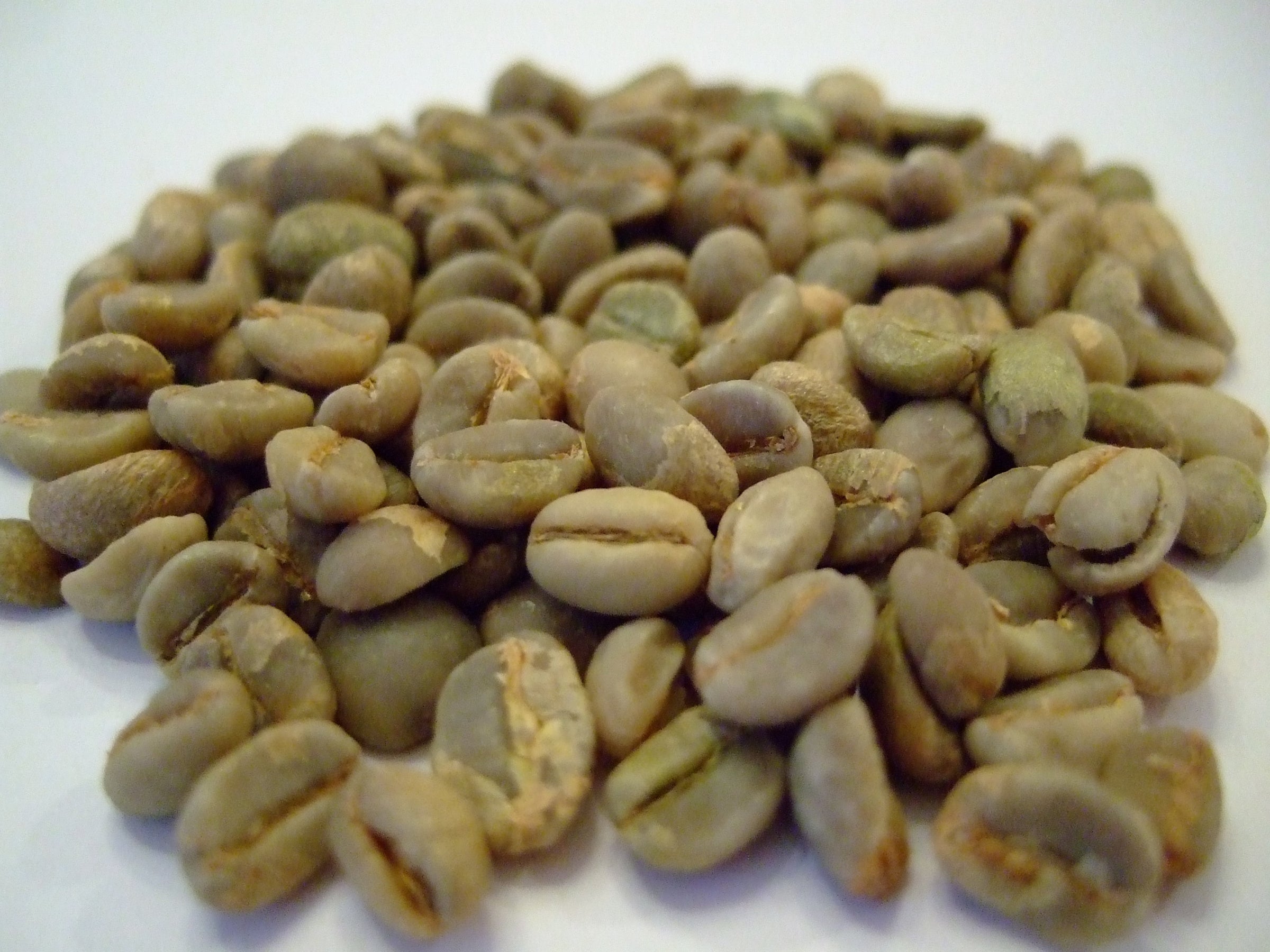 Haraaz Red Mono-Region Green Coffee Beans | MochaConnection